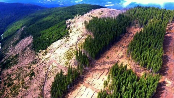 received_2671247733097221