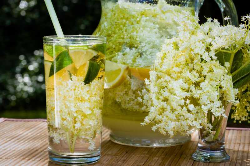 Socata__bautura_traditionala_romaneasca2