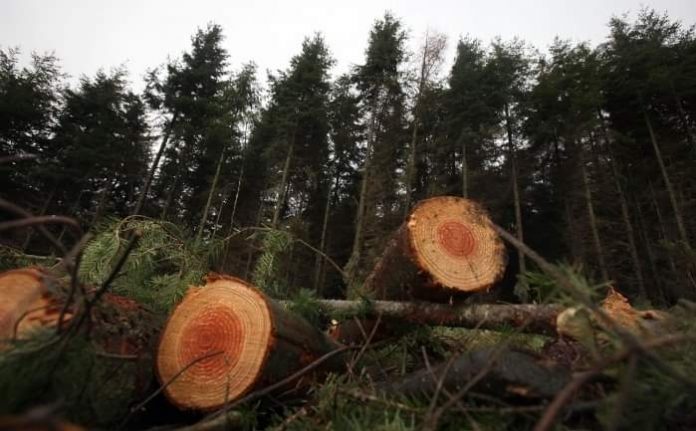 received_2276070372517721