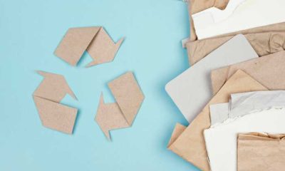 Ghid Complet pentru Reciclarea Ambalajelor de Carton: Proces, Beneficii și Practici Sustenabile